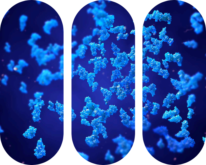 proteins